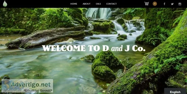 Affordable web design w/ free logo