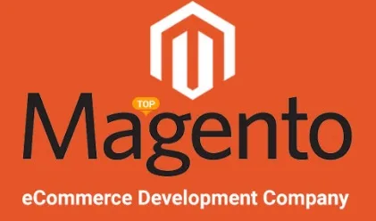 Software development company
