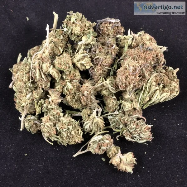 Quality hemp oil and hemp flowers ready