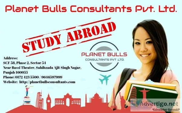 Best immigration consultants in chandiga
