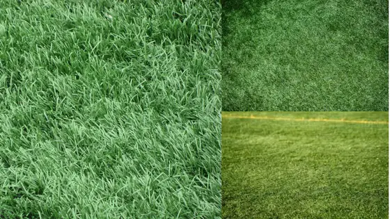 Get artificial grass on best price