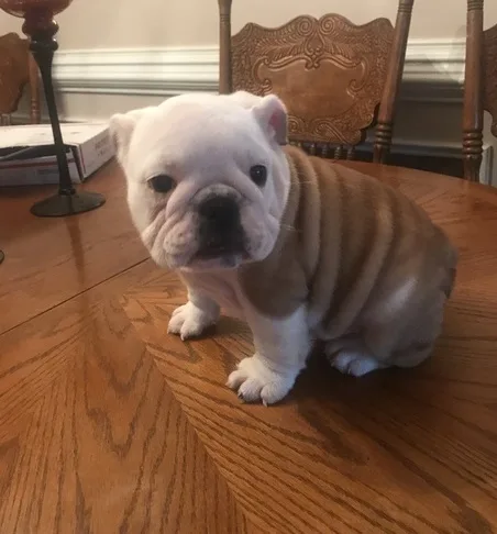 Ellie may is a super calm girl 