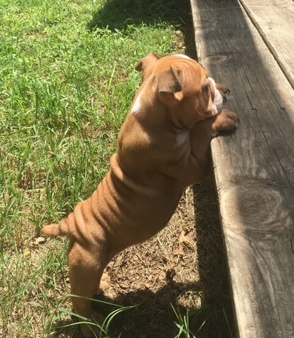 What a beautiful little gir