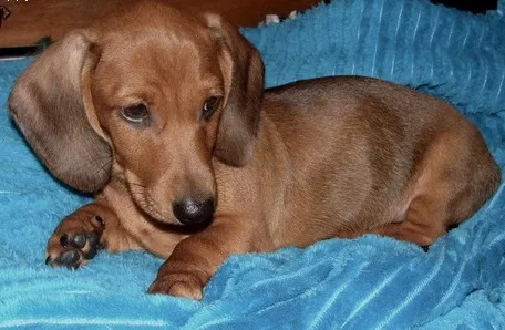 Here is one beautiful little boy 
