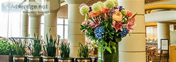 Hotel pms software-winhms