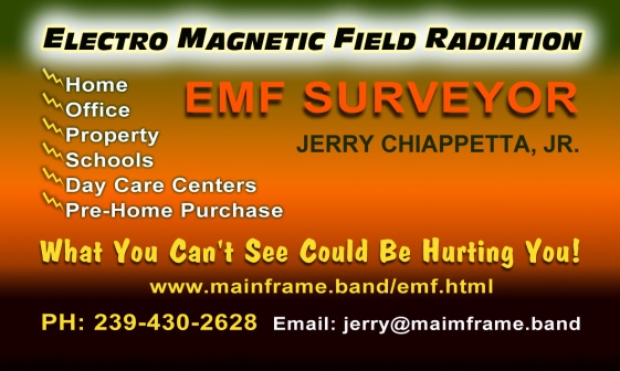 Emf surveyor in florida