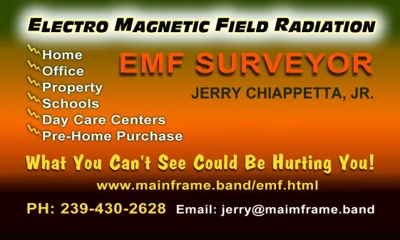 Emf surveyor in florida