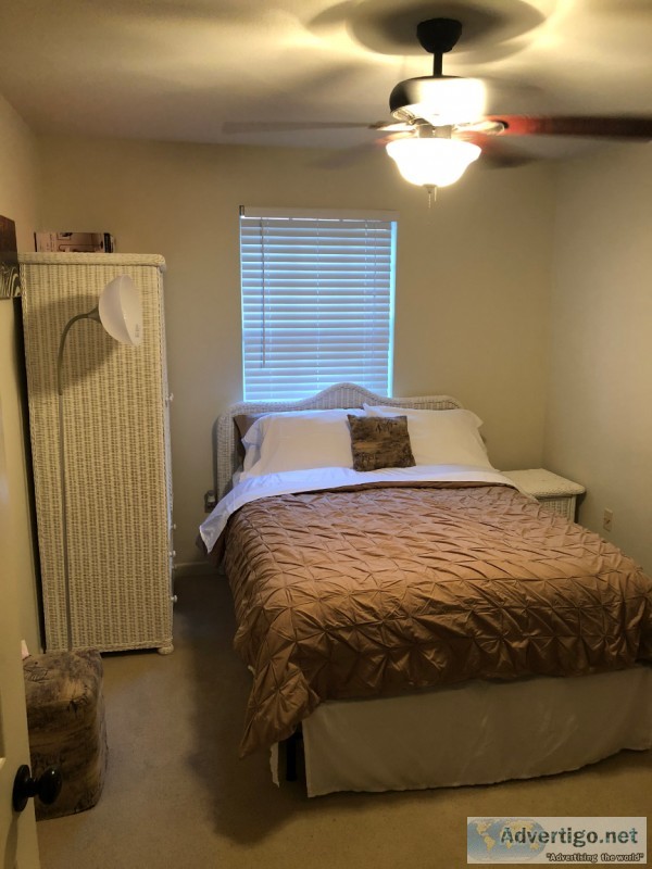 1 bedroom for rent