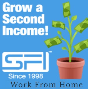 Work from home make money online