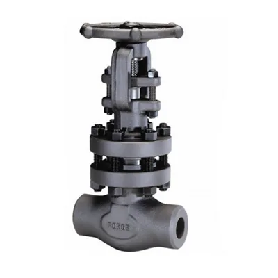 1 inch forged gate valve