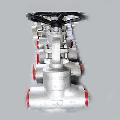 Carbon steel forged globe valve