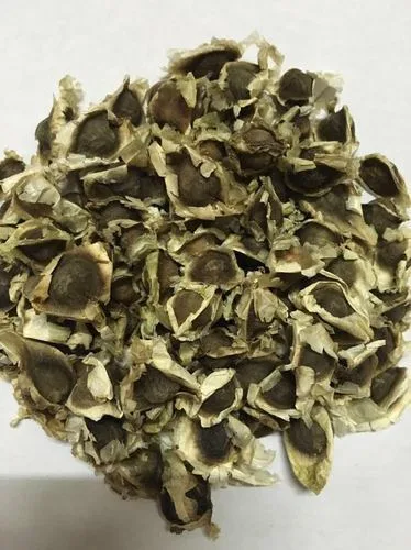 Moringa seeds /moringa oil