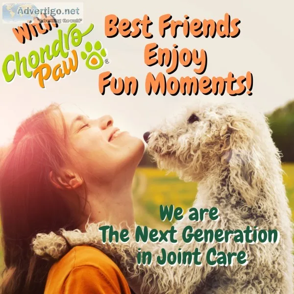 Hip & joint supplement for dogs