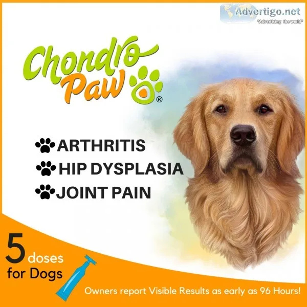 Hip & joint supplement for dogs