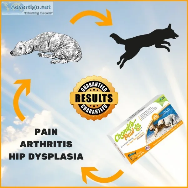 Hip & joint supplement for dogs
