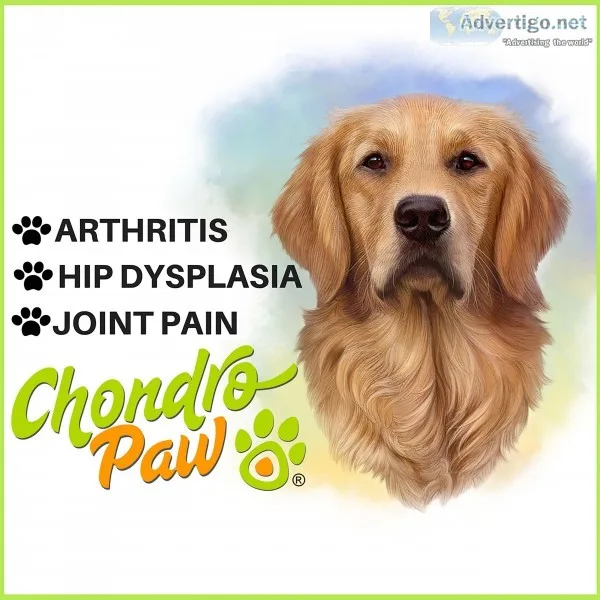 Hip & joint supplement for dogs