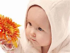 Online amazing offers