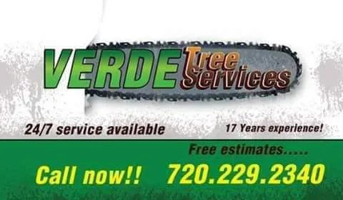 Tree service