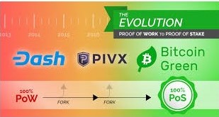 Bitgex green