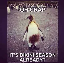 Fast weight loss ? be slimmer just weeks
