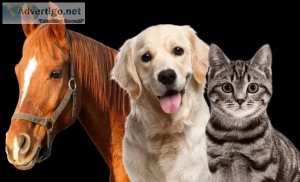 Savings on brand name pet care supplies