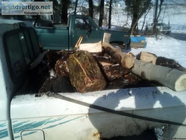 Ranger load of firewood