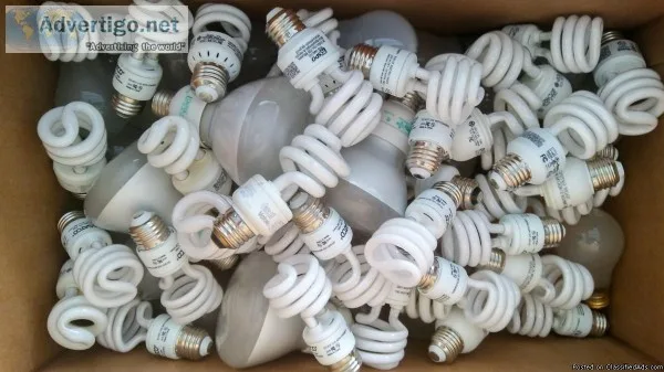 about 100 bulbs