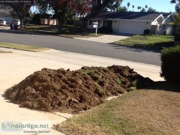 Free dirt (Riverside)
