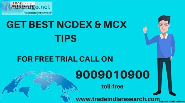 GET BEST NCDEX and MCX TIPS