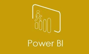 Power bi with professionals by techenoid