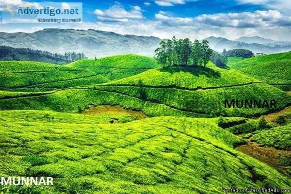 Mountain Hills Munnar