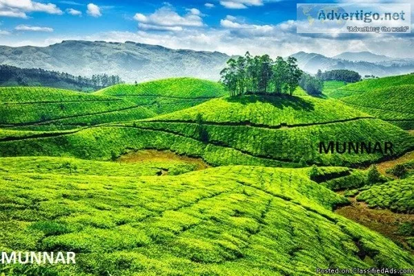 Feel the nature