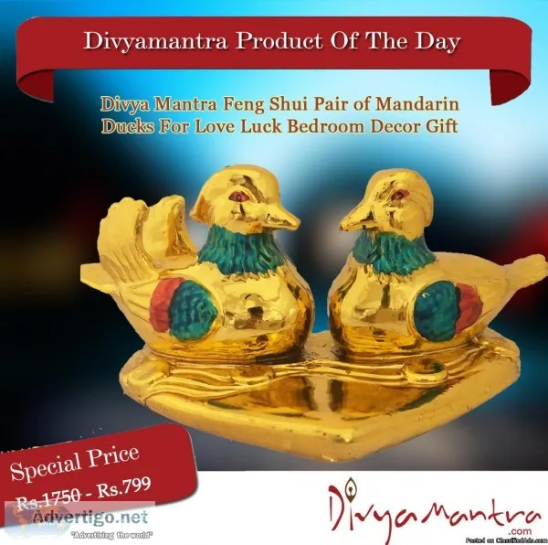 Buy Divya Mantra Feng Shui Pair of Mandarin Ducks For Love