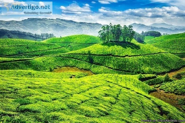 Never Miss the Echo Point Experience only at Munnar