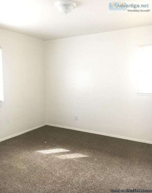 1 Bedroom Newly Renovated Great Location Glendale