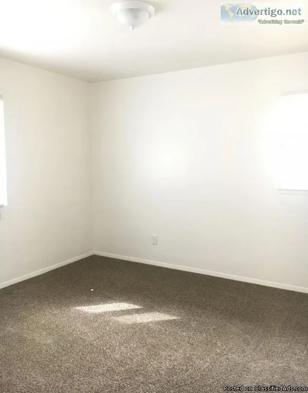 1 Bedroom Newly Renovated Great Location Glendale