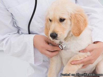 How to Find an Affordable Mobile Vet Clinic in Atlanta
