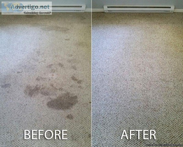 My Clean House Carpet Service