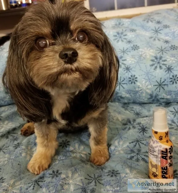 The NEXT GENERATION of pet product is HERE