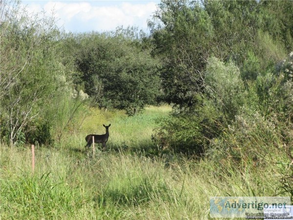9.7 acres Bring your horses