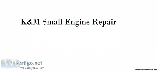 Small engine repair INCLUDING ATV RTVs Golf carts go carts etc.