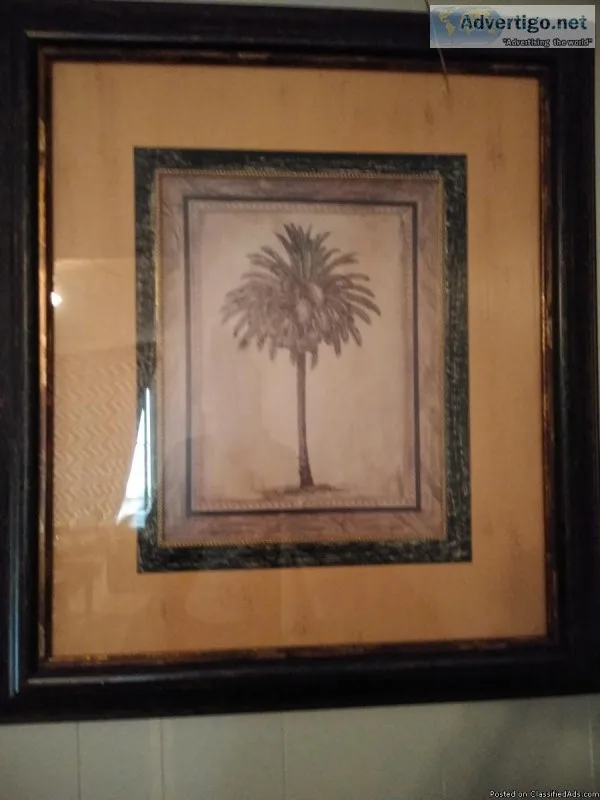 Set of Tommy Bahama pictures