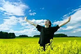 online pharmacy modafinil