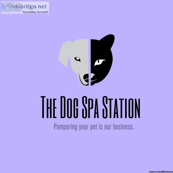 Personal Pet Groomers