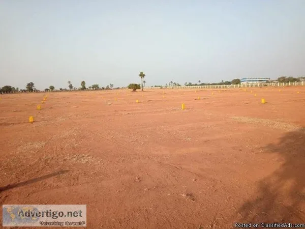 open plots for sale in shadnagarhyderabad 9014435435