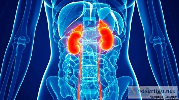 kidney Transplantation Doctor - Aditya Pradhan