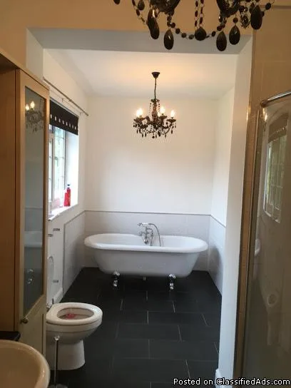 Looking for Painter and decorator in SIDCUP.