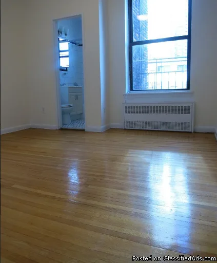 2350 - 1 Bedroom Apartment in Upper East Side