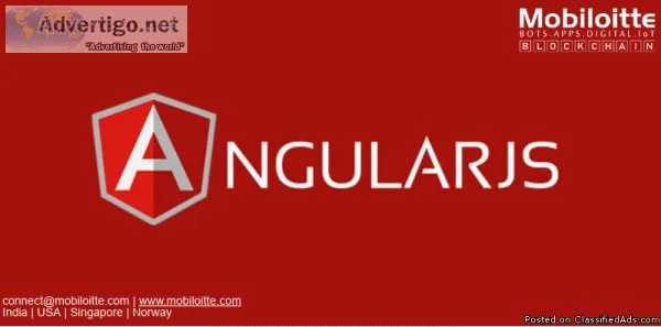 AngularJS Framework Development