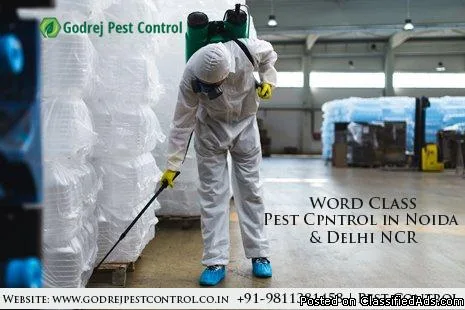 Pest Control Noida  Call for Appointment   No. 1 Pest Control